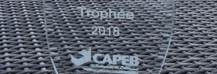CAPEB 01 : Trophée 2018 du Patrimoine et du Savoir-faire